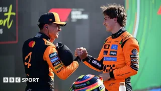 What are 'papaya rules' in Formula 1?