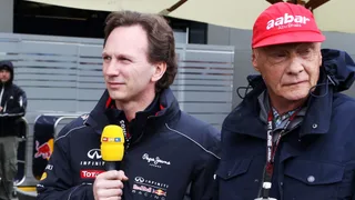 Five surprising things we learned from Horner's book